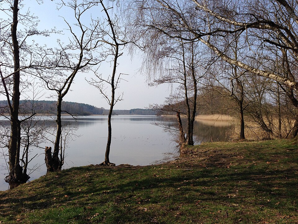 Oberer See