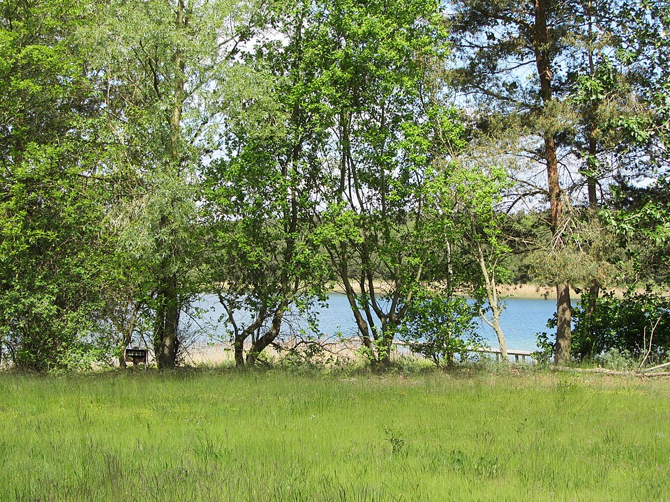 Kiessee