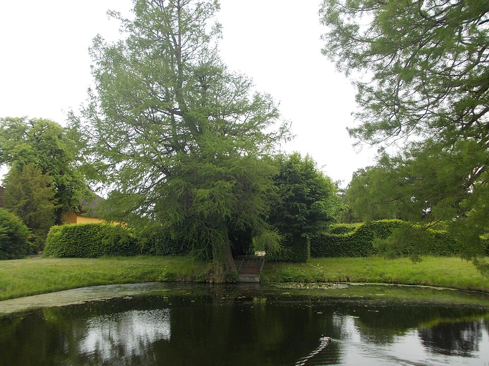 Naturbad Mosigkau