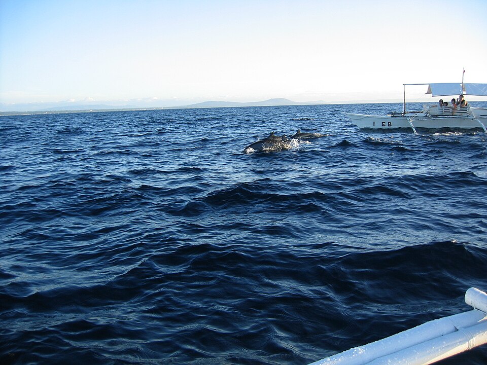 Bohol Sea