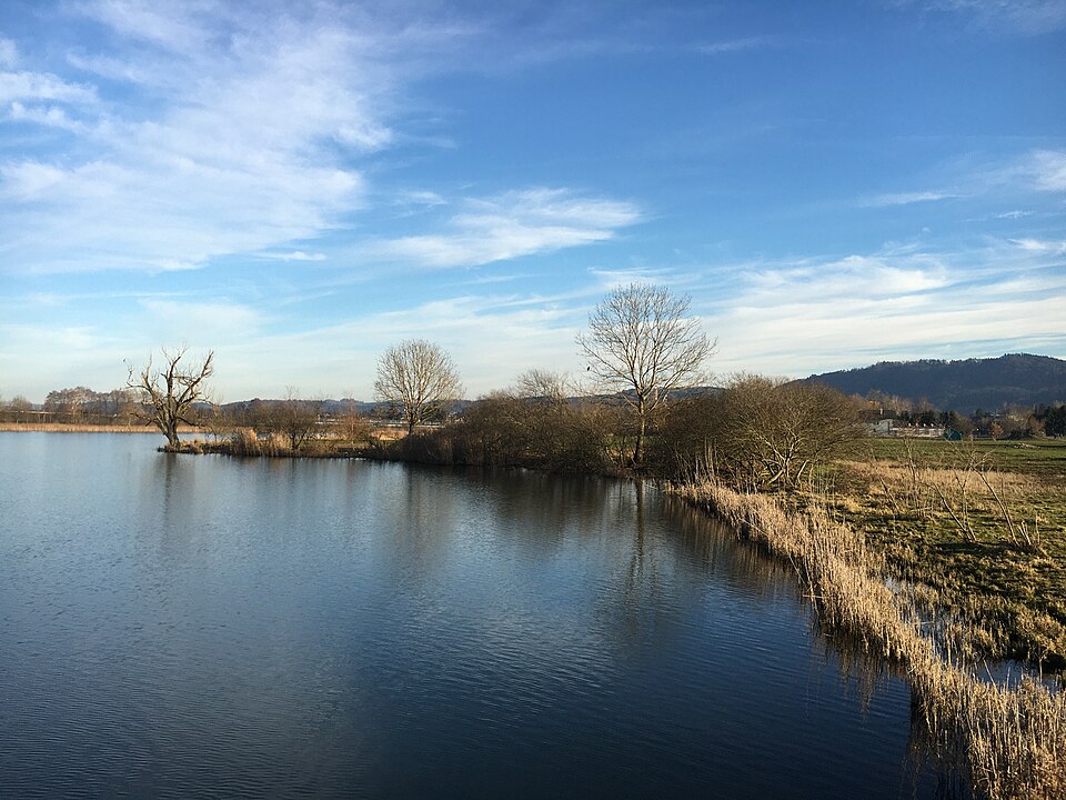 Moossee