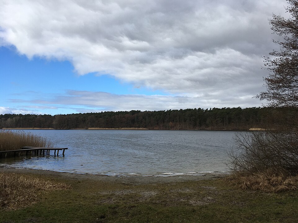 Straussee