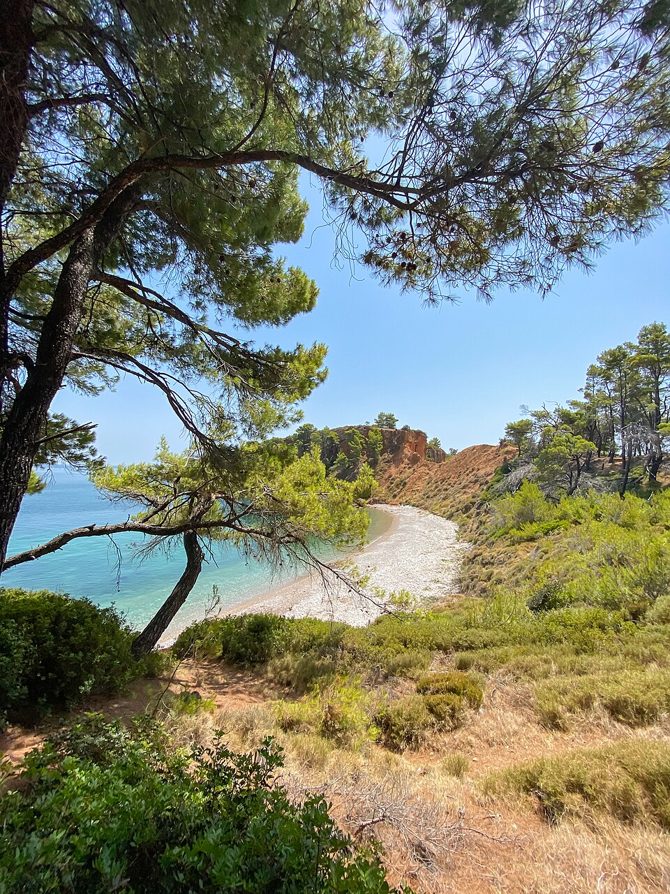 Mediterranean