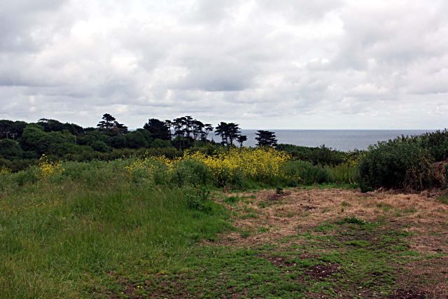 Celtic Sea
