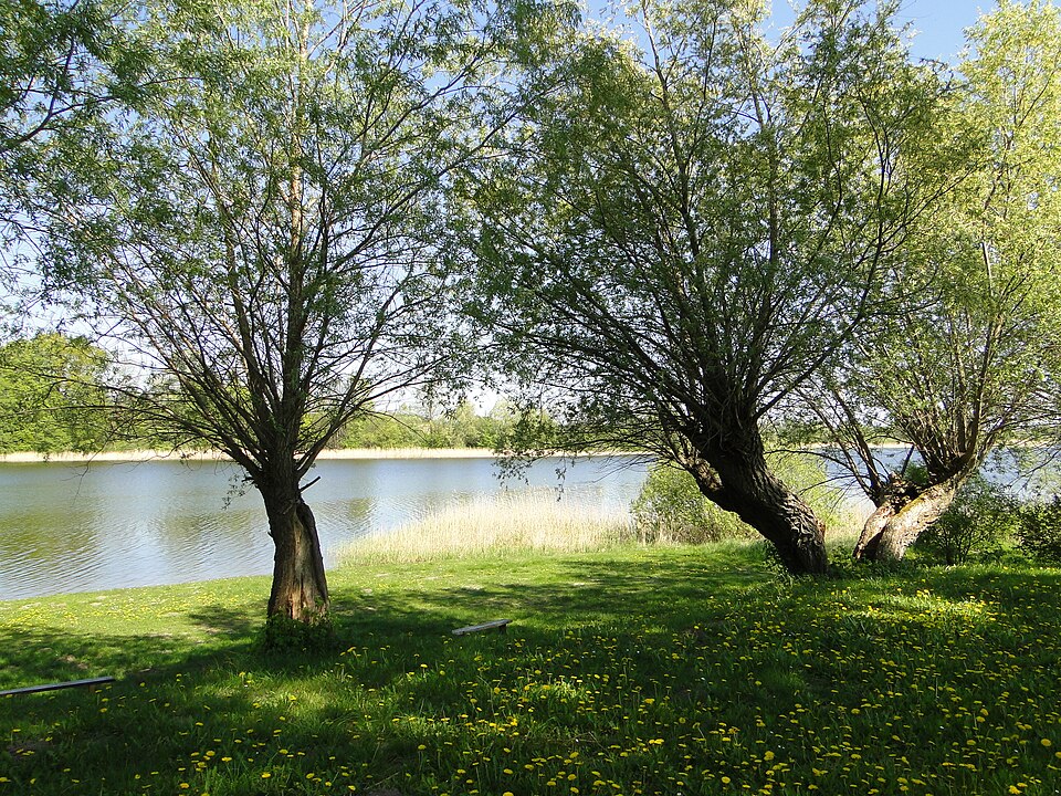 Neetzkaer See