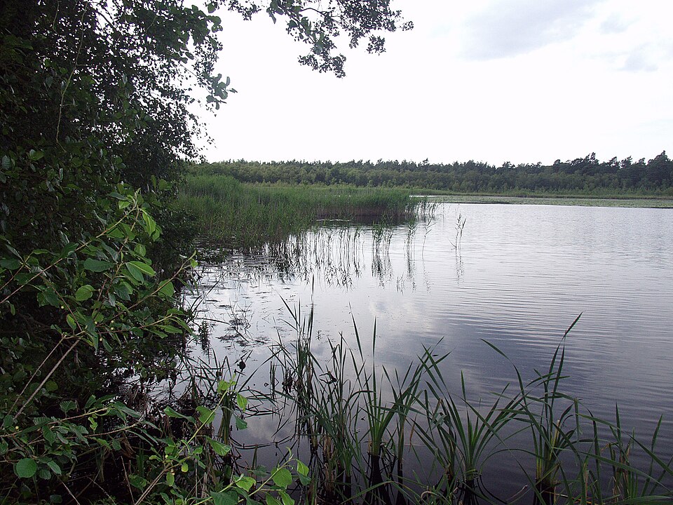 Horster See