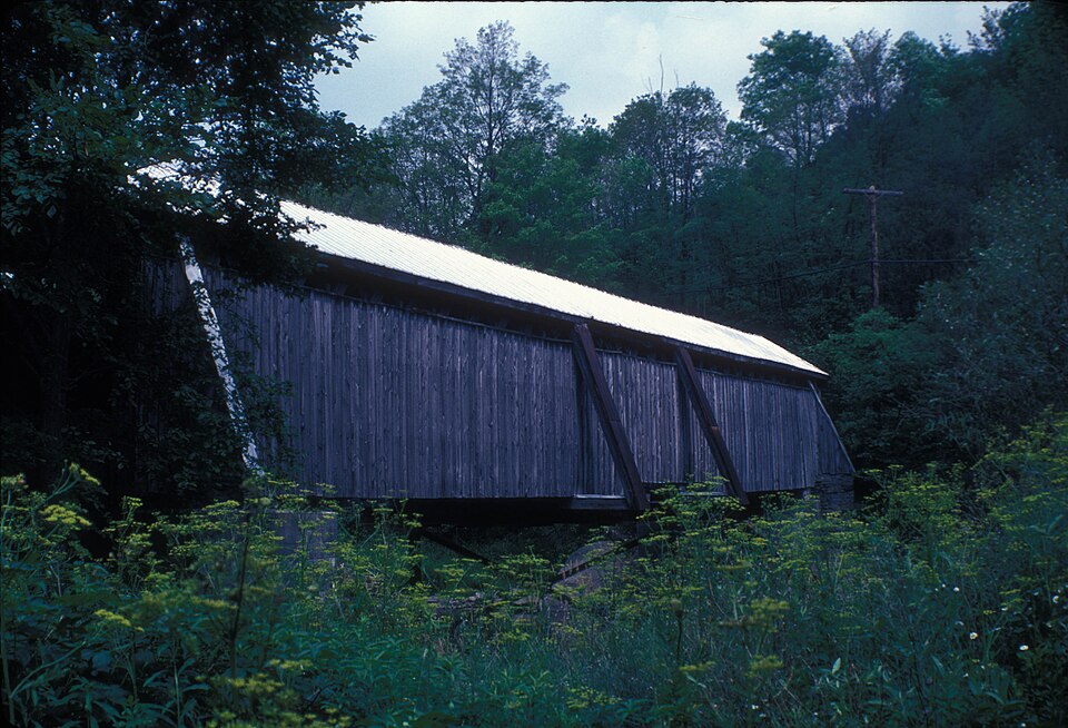 Willowemoc Creek near Livingston Manor, New York