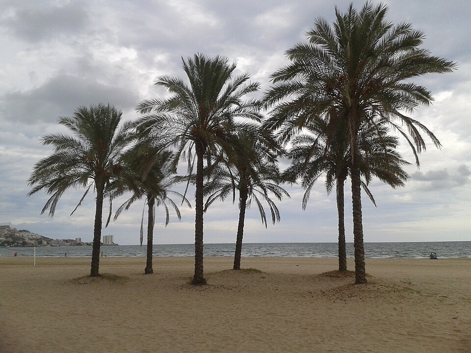 Mediterranean