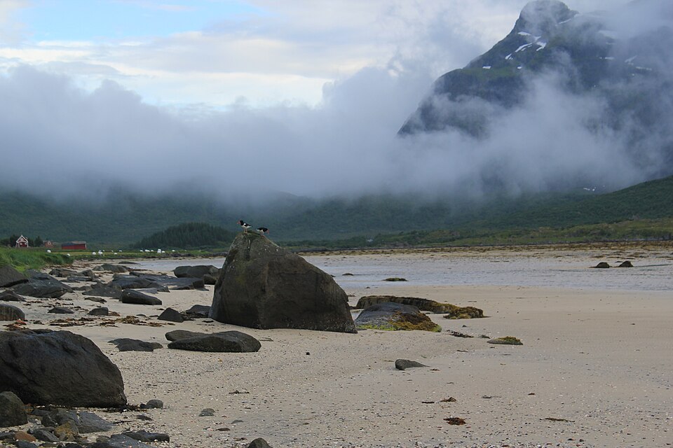 Norwegian Sea