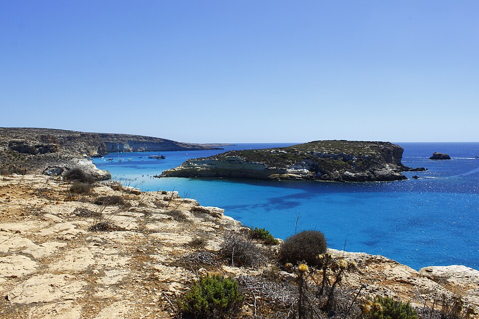 Mediterranean