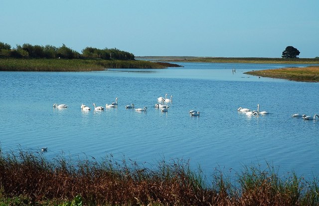 Lady's Island Lake