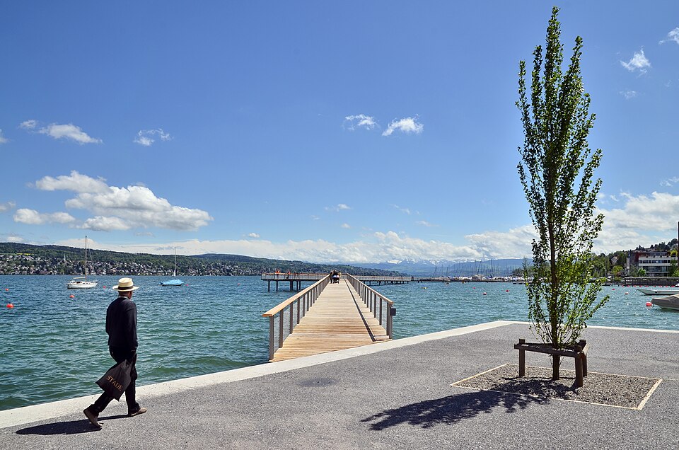 Lake Zurich