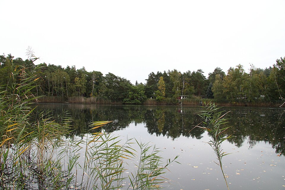 Kleiner Waldsee Plötzky