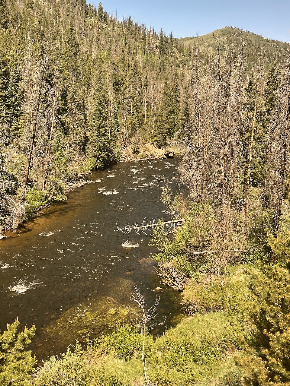 Fraser River below Crooked Creek at Tabernash, Colorado