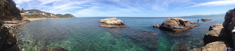 Mediterranean