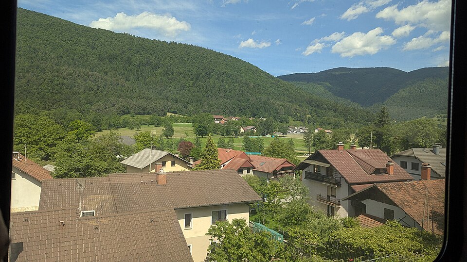 Borovniščica
