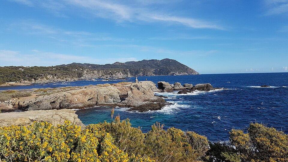 Méditerranée
