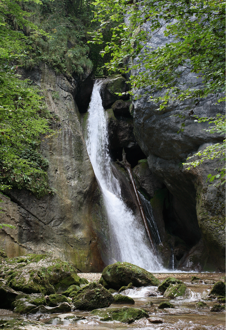 Schmiedleitnerbach