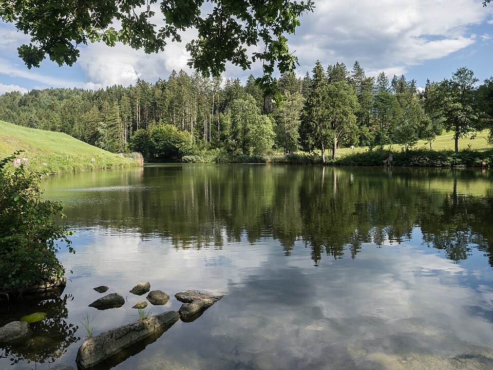Reintaler See, Nord-Ost