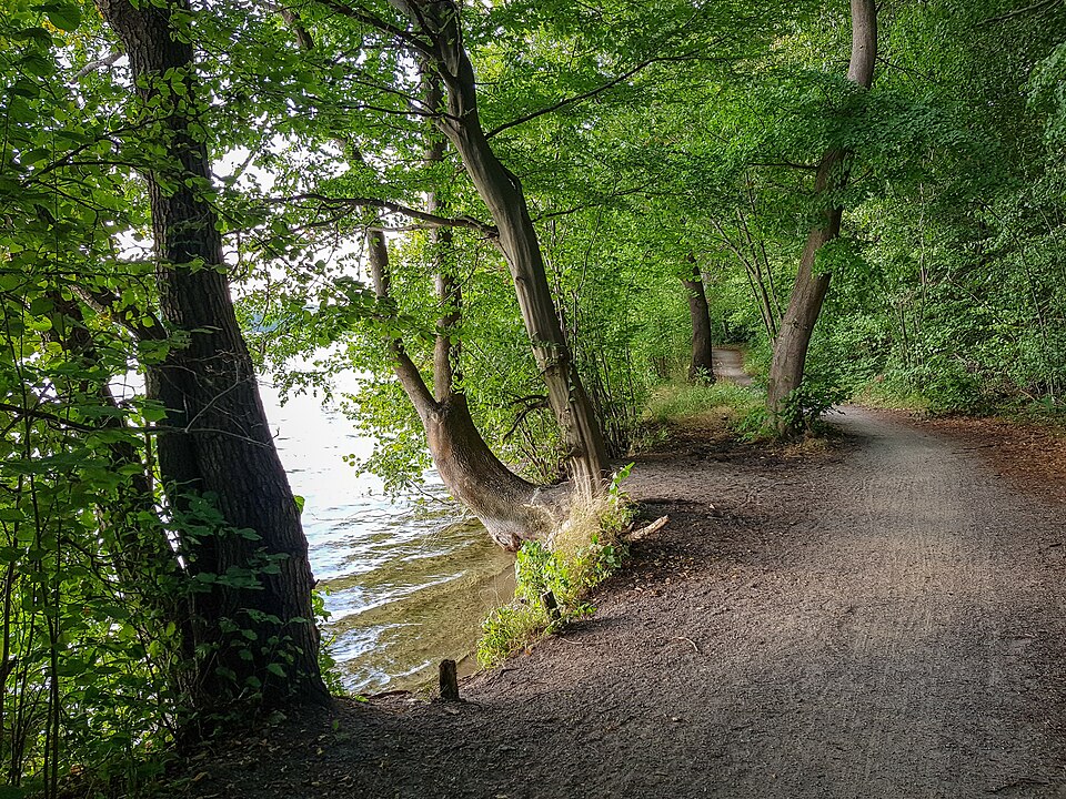 Tiefwarensee