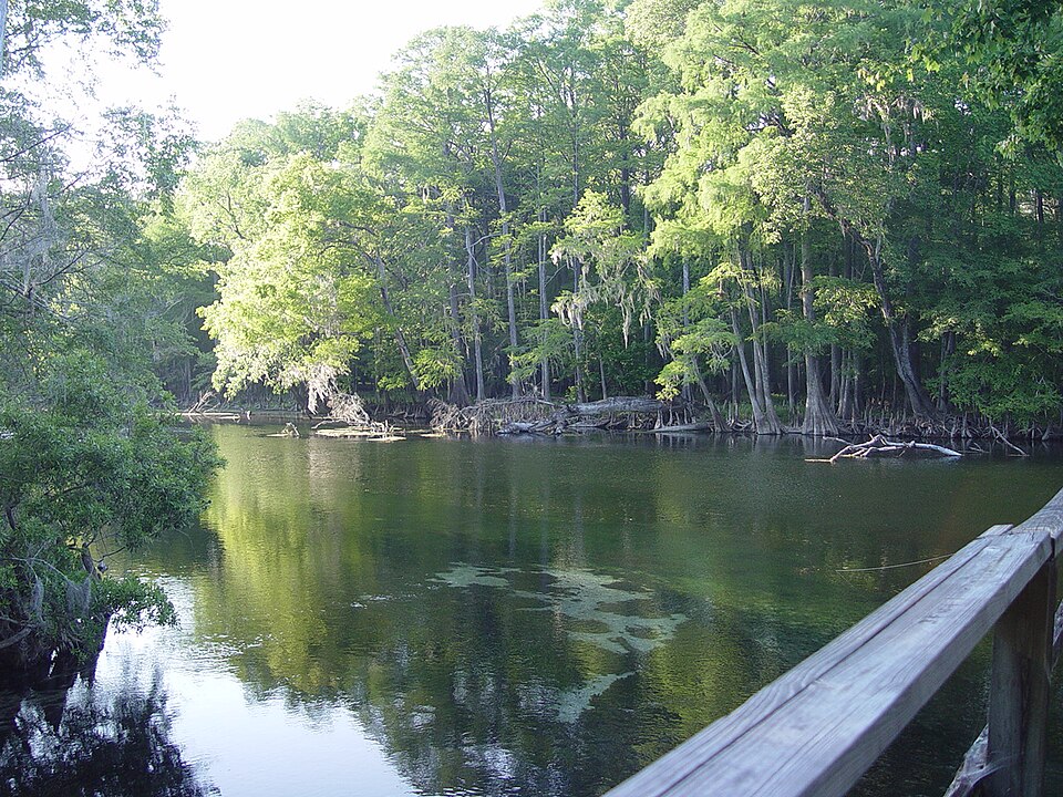 Ginnie Spring near High Springs, Florida