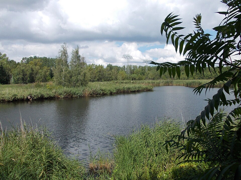 Karlsbad Angersdorfer Teiche