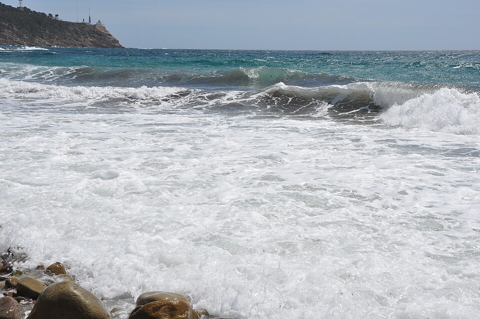 Mediterranean