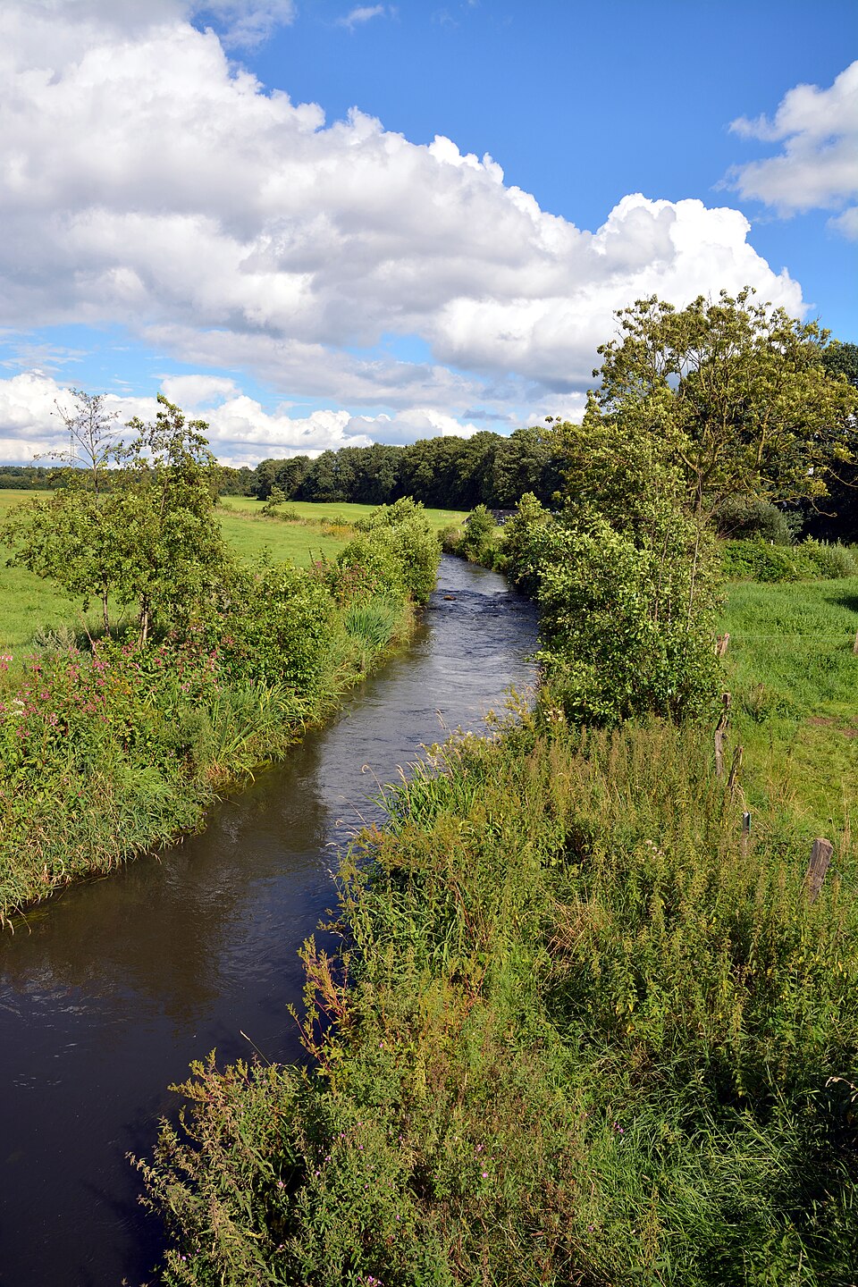 Campingplatz Padenstedt am Forellensee