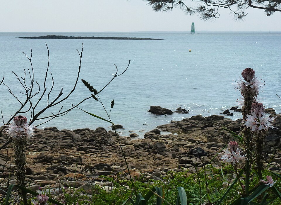 Atlantic
