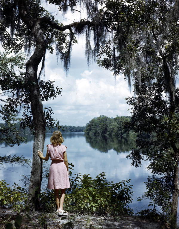 Fanning Springs near Wilcox, Florida
