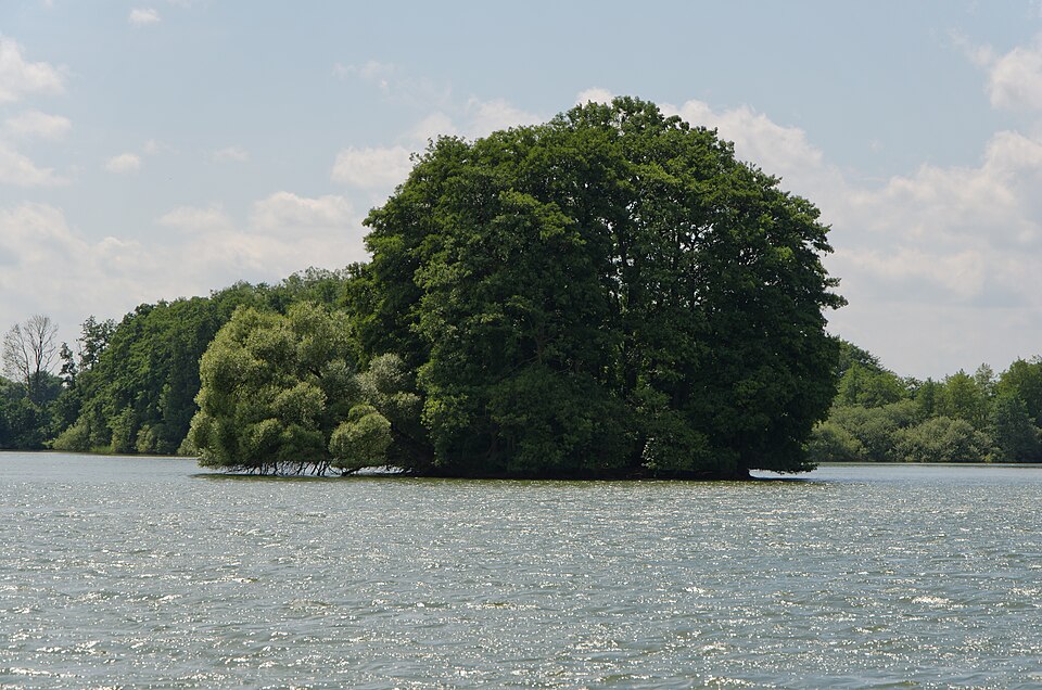 Großer Plöner See
