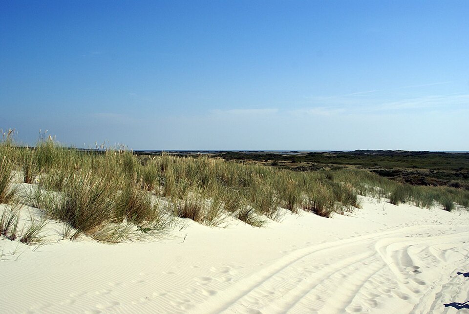 North Sea
