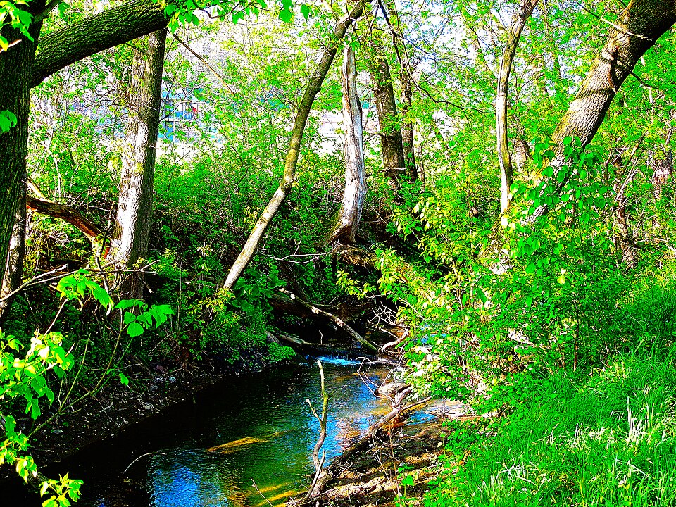 Brewery Creek-upstream Site-at Cross Plains, Wisconsin