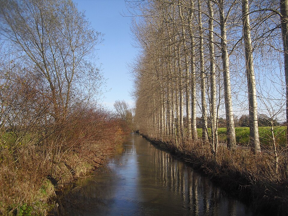 Lippe