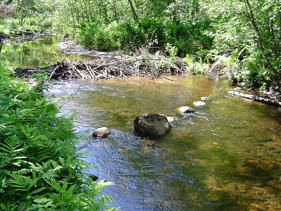 Pilgrim River at Paradise Rd near Dodgeville, Michigan