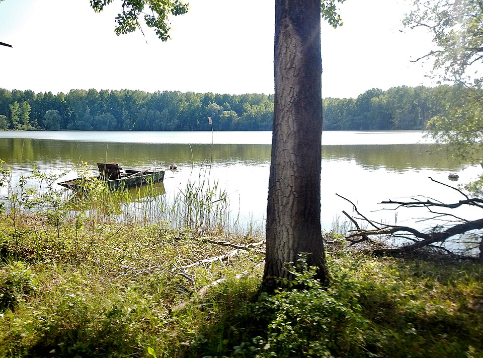 Kleiner Weiher Mechtersheim