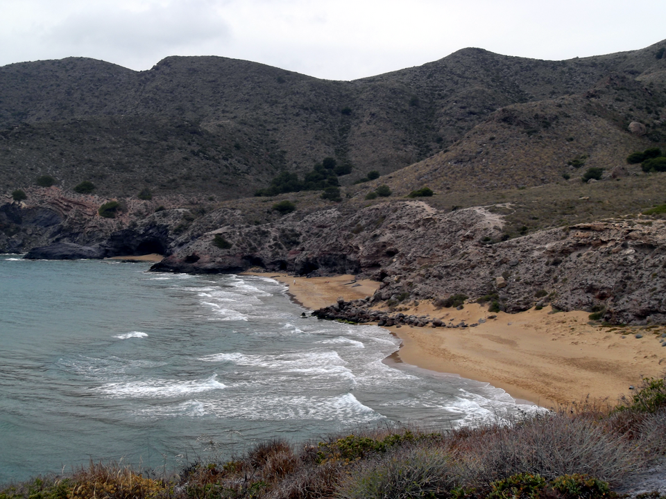 Mediterranean