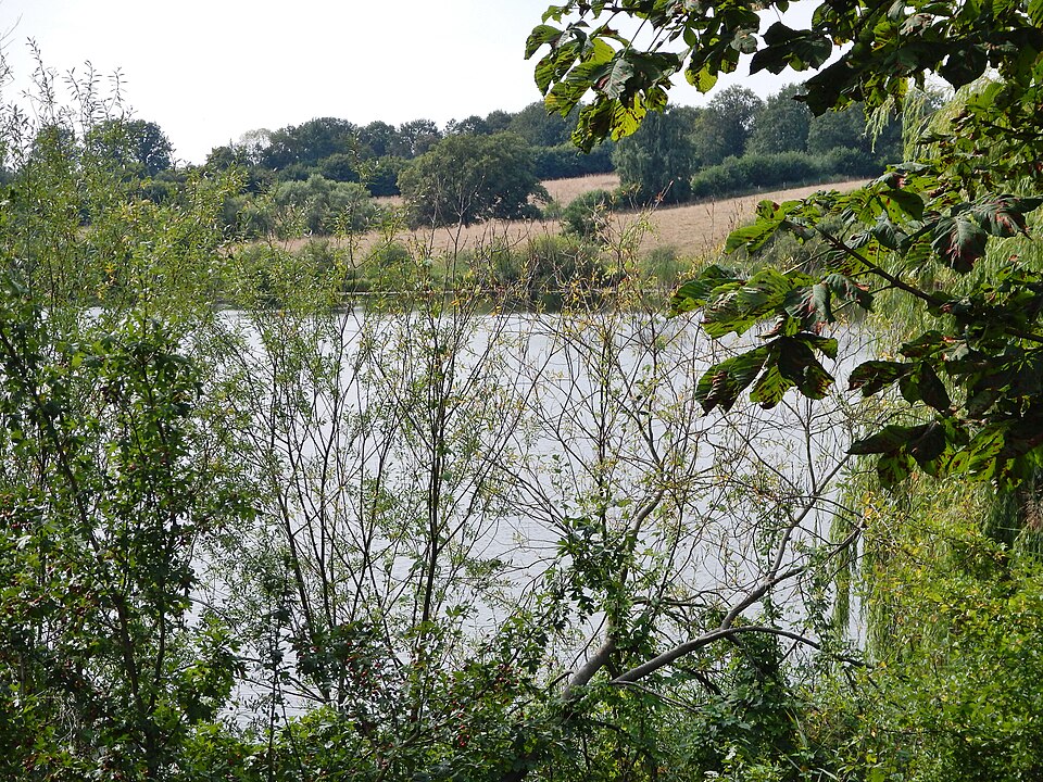Rumpelsee, Süseler Moor