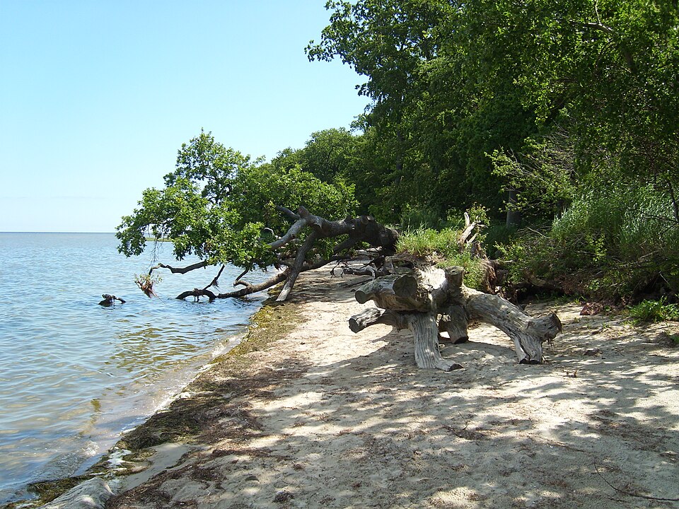 Greifswalder Bodden