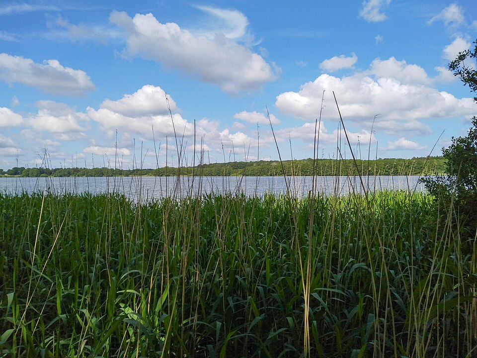 Bistensee