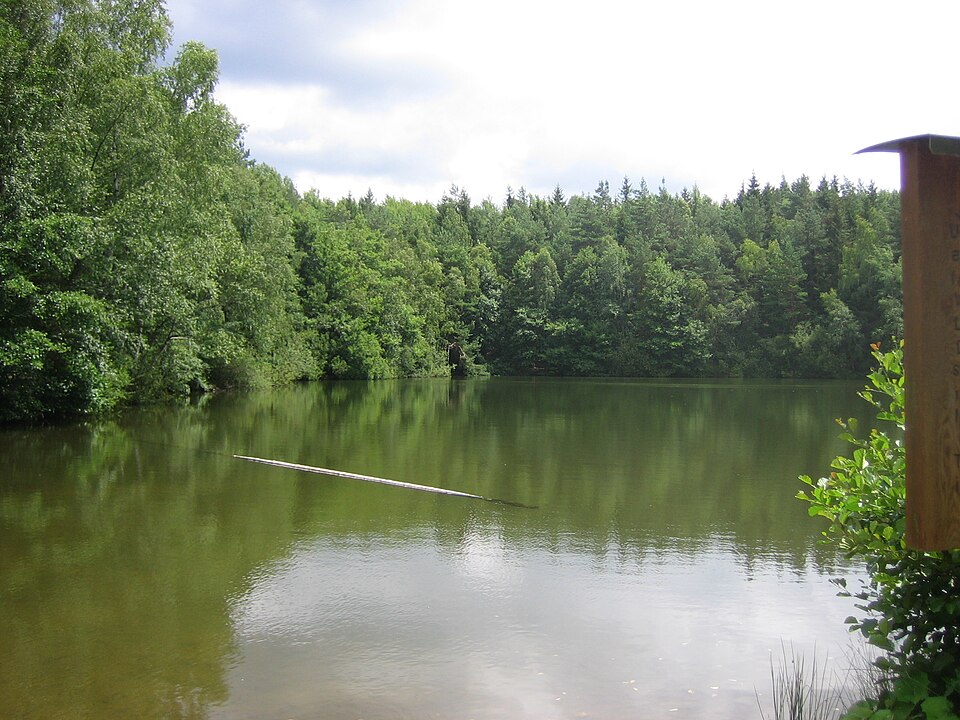 Waldsee Argenthal