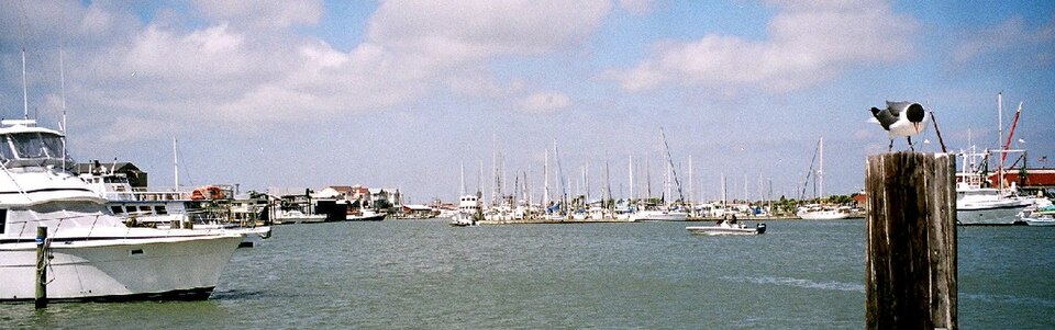 Gulf of Mexico