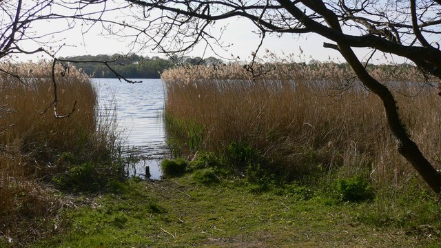 Frensham Great Pond