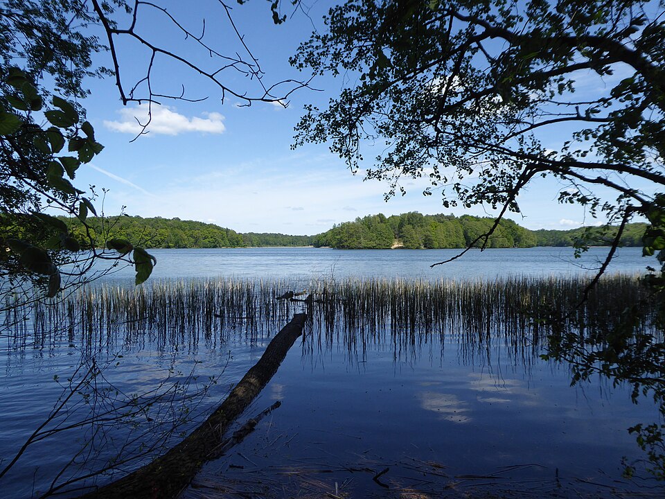 Liepnitzsee