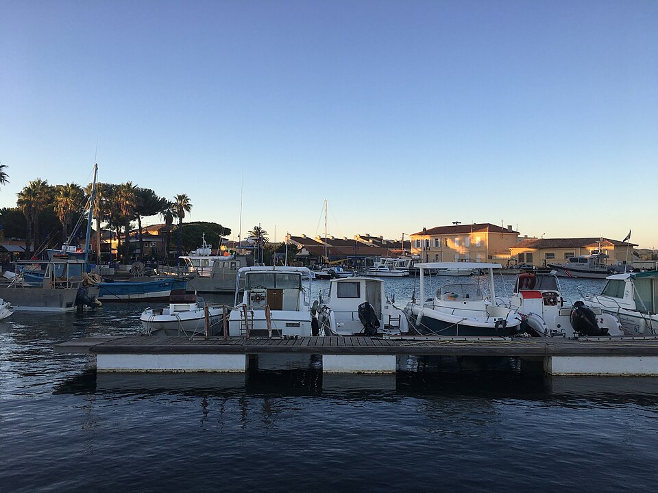 Mediterranean