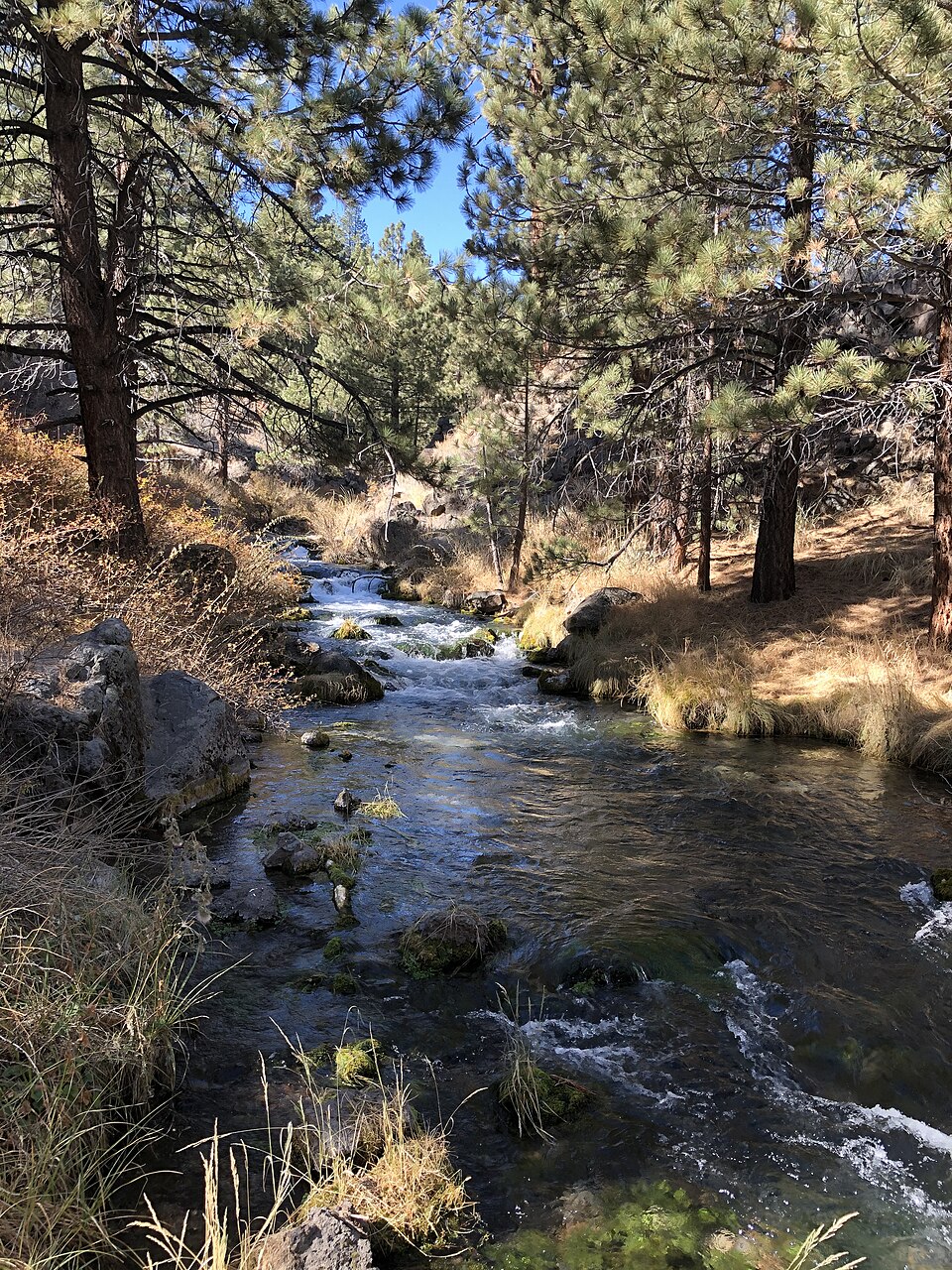 Deadman C A Big Springs near Crestview, California