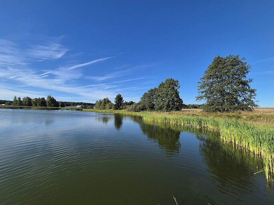Braunaubach