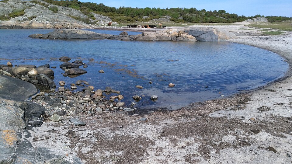 Kattegat