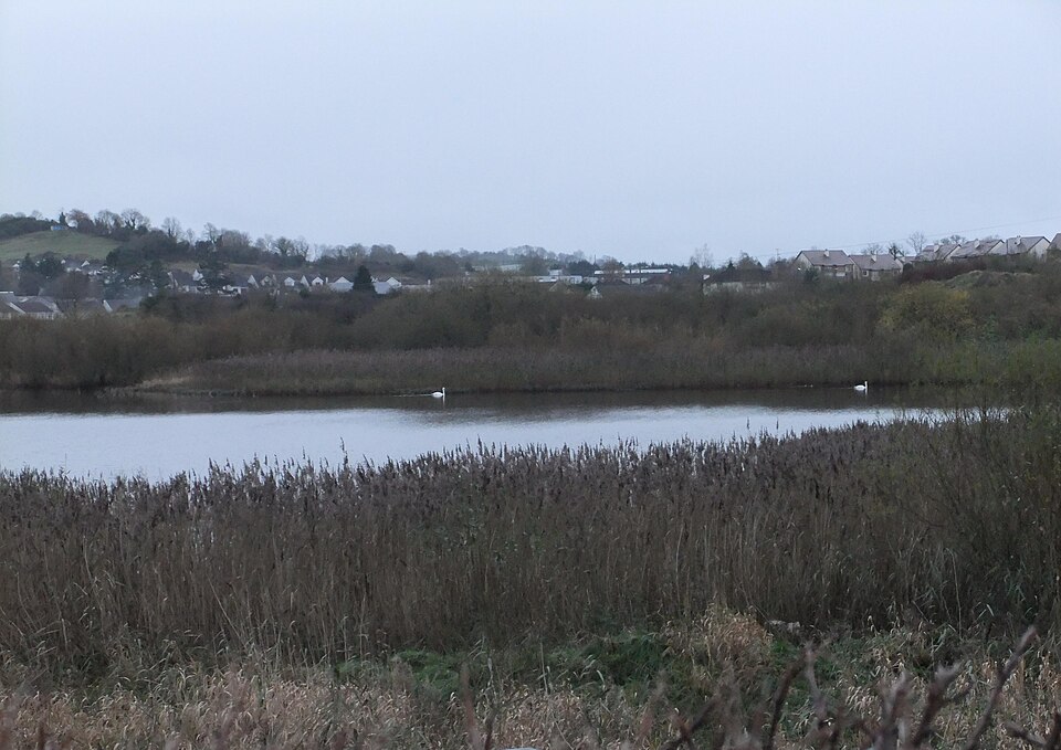 Cavan River