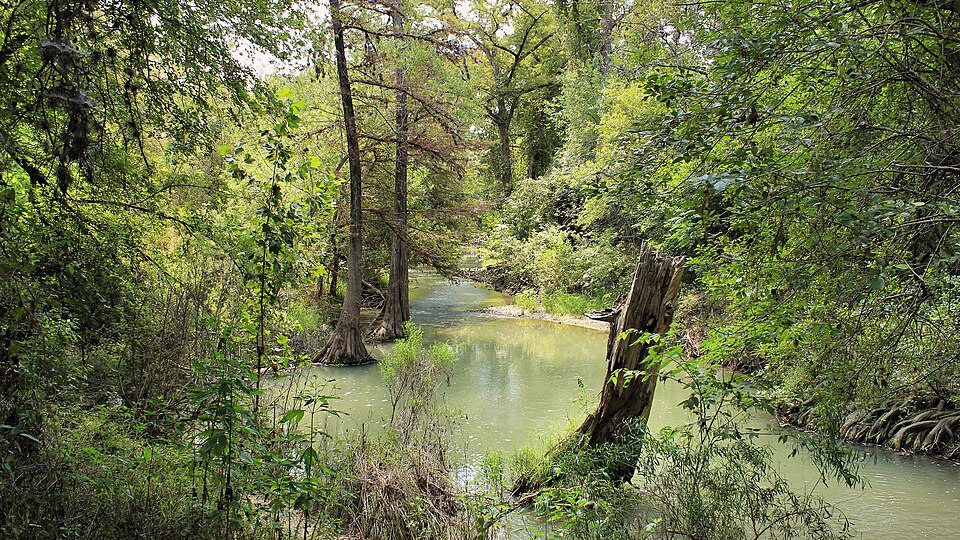 Medina River near Somerset, Texas